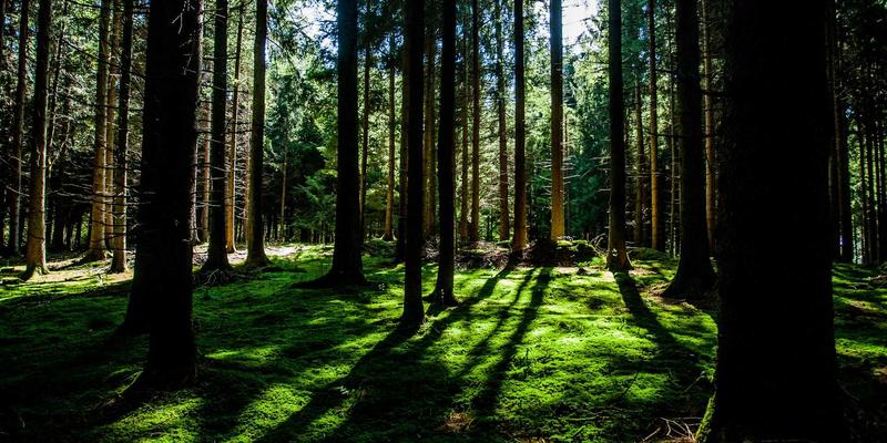 工程机械租赁保险全攻略：从装载机租赁到理赔，一文读懂关键风险与应对