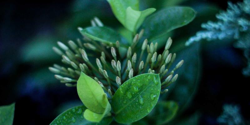 征服极限：高原、极寒、深海等极端工况下的工程机械租赁全攻略