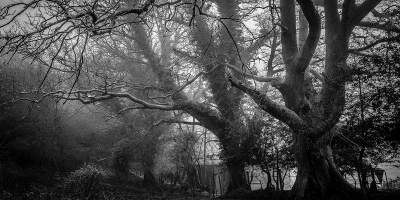 掘金东南亚:中国工程机械租赁企业的蓝海机遇、核心挑战与本地化实战指南