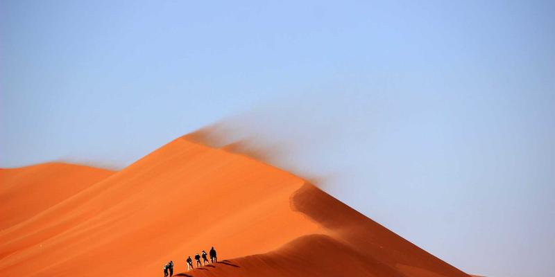 租赁装载机如何精准匹配机型?避开这三大误区,让设备租赁效益最大化