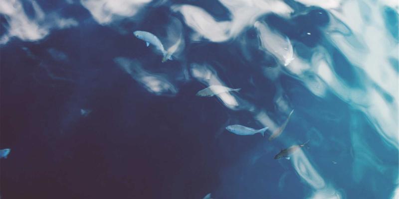 筑牢安全防线：中国卡特设备租赁如何构建客户信用体系与坏账预警机制